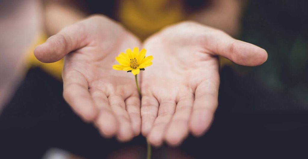 Hands with a flower representing the community of the Dr Ida Rolf Institute